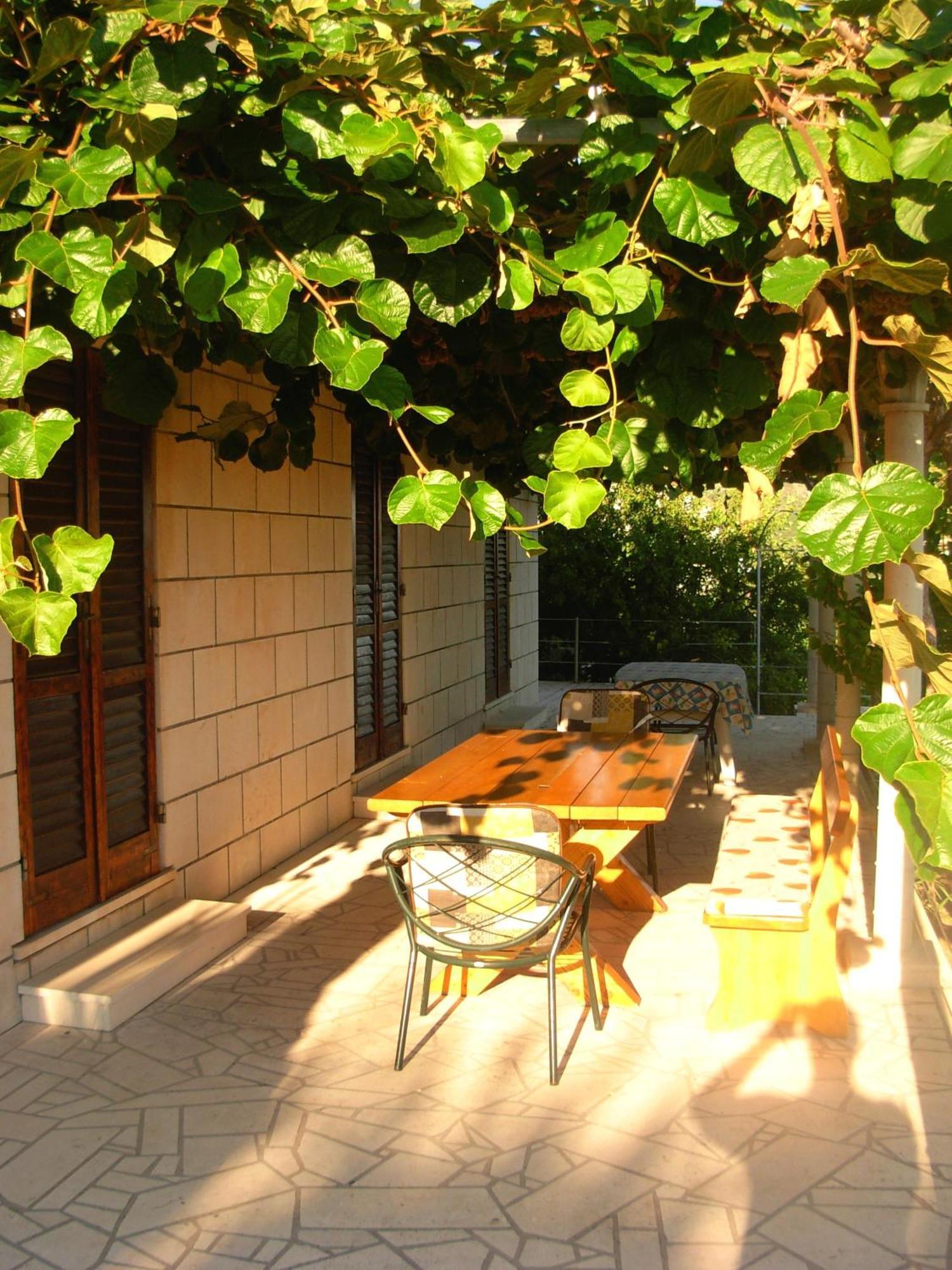 Apartments Druskovic Orašac Zewnętrze zdjęcie